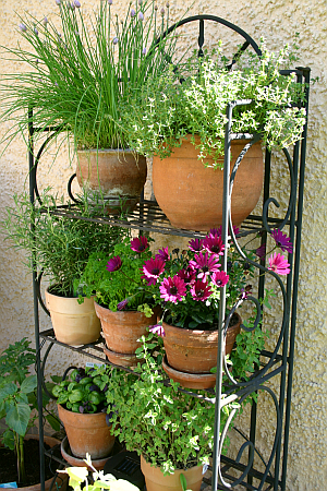 Gegen Platzmangel auf dem Balkon oder der Terrasse: ein Regal für Kräuter und Blumen